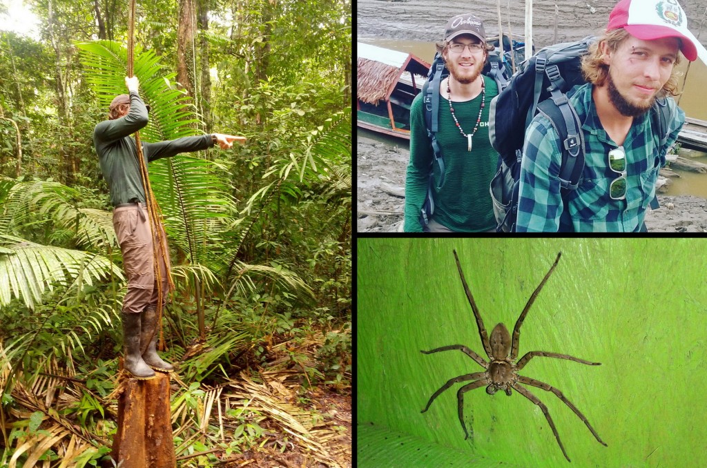 Po 17ti hodinnové cestě lodí jsme se ocitli hlouběji v pralese